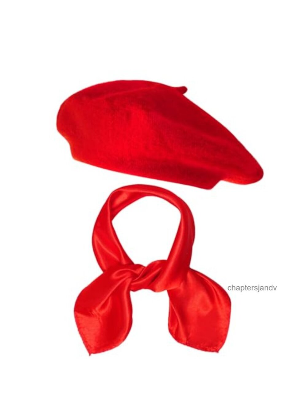 French Beret Hat & Chiffon Scarf Set Women Themed Party Accessory